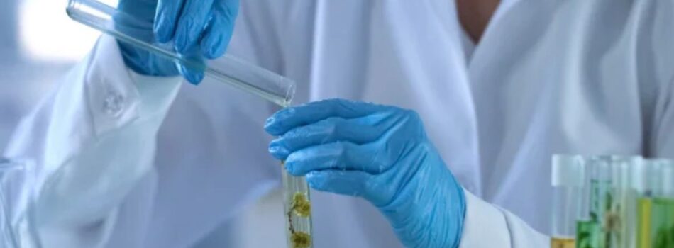 Licenciatura en Educación en el Área de Ciencias Naturales